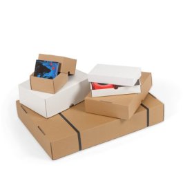 Stülpdeckelkarton aus Wellpappe Stülpdeckelkarton aus Wellpappe