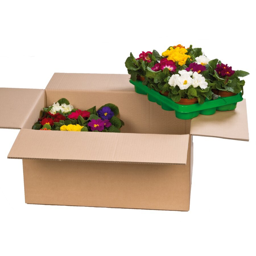 Karton für den Pflanzenversand Karton für den Pflanzenversand
