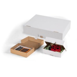 Klappschachtel mit Steckverschluss und Seitenklappen Klappschachtel mit Steckverschluss und Seitenklappen